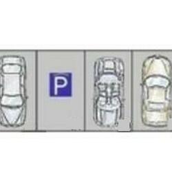 PP